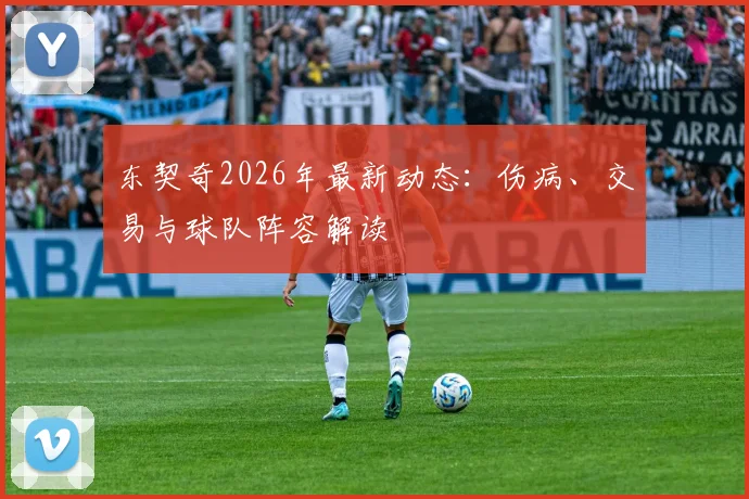 东契奇2026年最新动态：伤病、交易与球队阵容解读